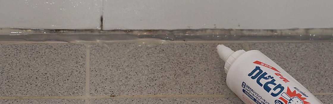 ゴムパッキンに入り込んだ黒カビの落とし方